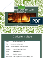 Kebakaran Hutan Dan Lahan