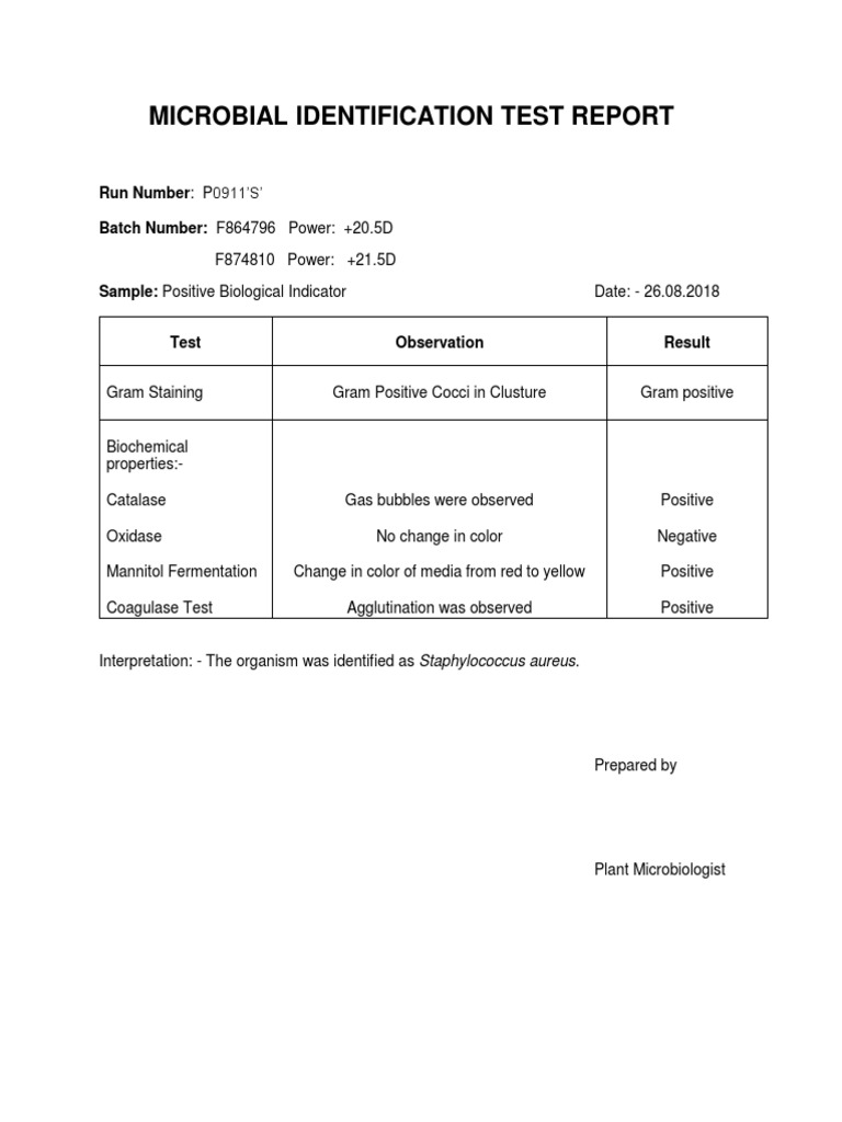 Microbial Identification test report