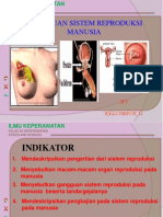 Gangguan Sistem Reproduksi