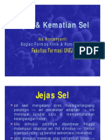 Cedera Dan Kematian Sel