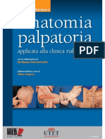 Anatomia Palpatoria PDF