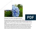 Hydrangea Macrophylla: Indikator pH Tanah