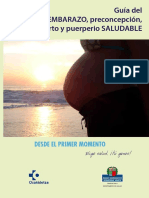 Guía Del Embarazo, Preconcepcion, Parto y Puerperio Saludable