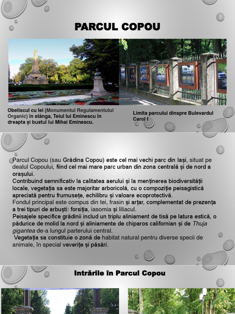 Parcul Copou Iași | PDF
