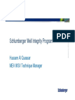Schlumberger Well Integrity Program