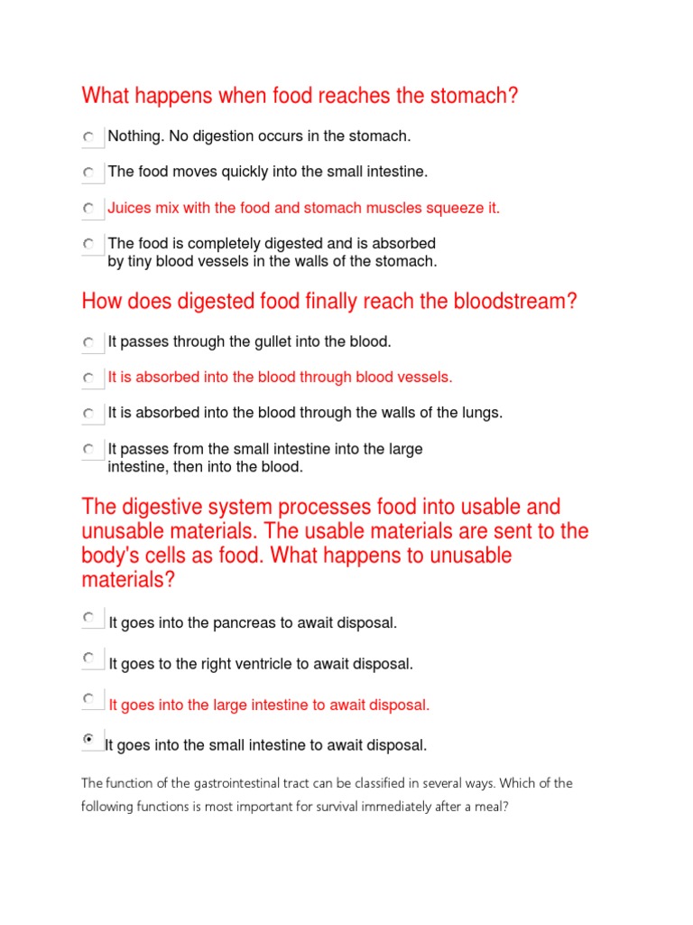 What Happens When Food Reaches The Stomach | PDF