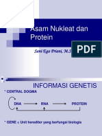 Asam Nukleat Dan Protein