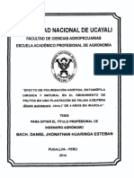 Tesis 2014 Ucayali PDF