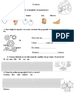 Evaluare Dupa Vacanta