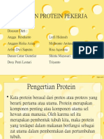 Protein Bu Dwi