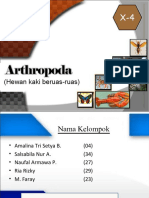 Arthropodakelompok2 170420152202