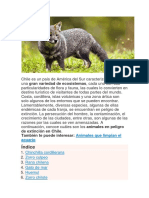 animales en peligro de extincion en Chile.docx