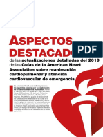 RCP 2019 Español.pdf
