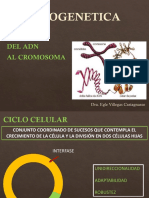 5citogenetica PDF