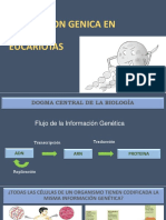 6regulacion Genica en Eucariotas PDF