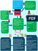 1.infografia Fundamentos de Matemáticas PDF