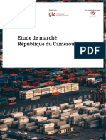 Etude de Marche CAMEROUN PDF