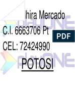 Envio Plantilla Potosi.docx