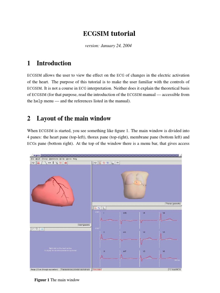ECGSIM Tutorial Guide | PDF | Heart | Action Potential