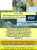 Biorremediacion de suelos e hidrocarburos-setiembre- 2017.ppt