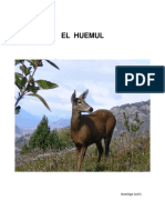 El Huemul