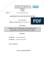 Rapport Nestlé Audit de suivi.docx