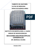 Neuroanatomia seccionante_0