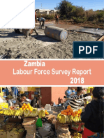 2018 Labour Force Survey Report PDF