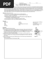 Lab. Activity No. 2 Microscope