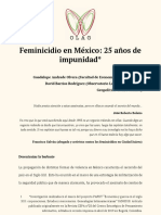 Feminicidio en México - 25 Años de Impunidad - 0