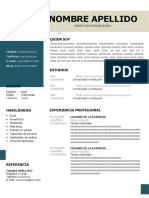 72 Curriculum Vitae Recien Egresado