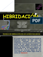 hibridacion.pptx