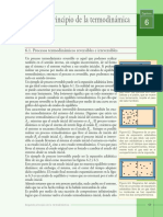 06 - Cap. 6 - Segundo Principio de La Termodinámica PDF