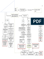 PATHWAY CK Dan SDH