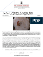 7 Reason Chicken Not Fed Hormones PDF