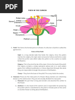 Grade 7 Flower Parts Worksheet | PDF