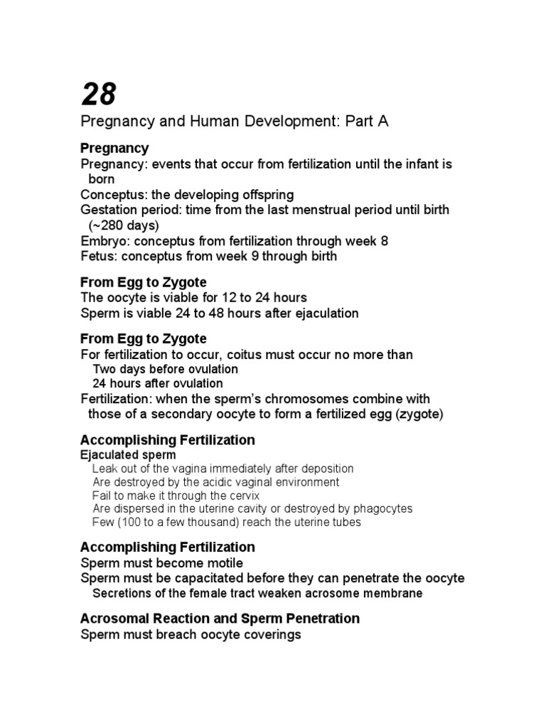 Pregnancy and Human Development Overview | PDF | Implantation (Human ...