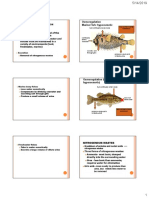 Hand-Out On Osmoregulation & Excretion 2019 PDF