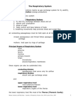 Anatomy of Resp Syst PDF