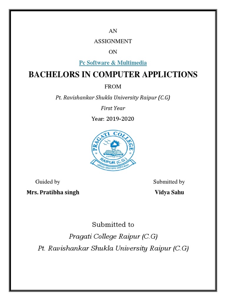 PC Software & Multimedia Assignment | PDF