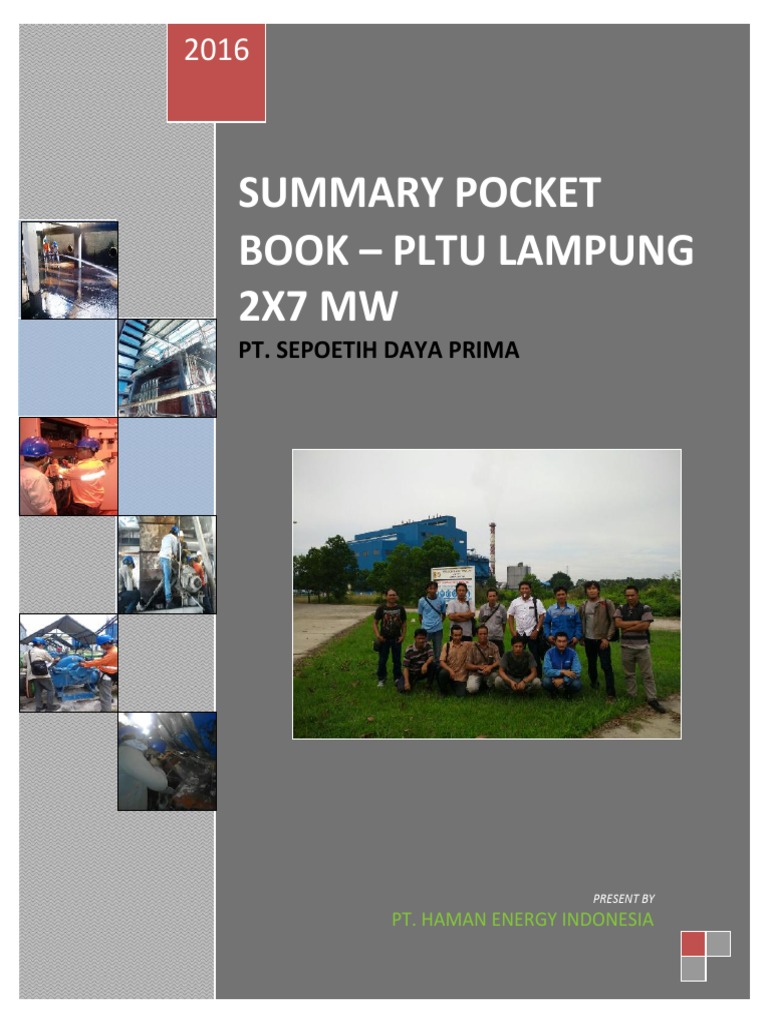 Summary Pocket Book PDF
