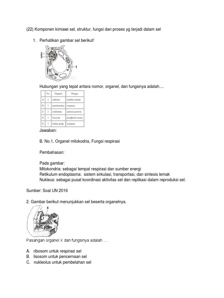 Komponen Kimiawi Sel