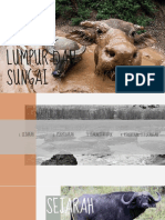 PPT Kerbau Lumpur Dan Kerbau Sungai 6