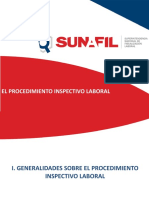 Procedimiento Inspectivo General