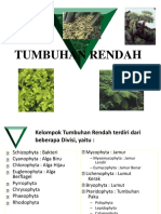 03 Tumbuhan Rendah