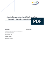 La Résilience Et La Fragilité Du Système Bancaire Dans Les Pays Émergents