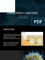 Endocitosis y exocitosis