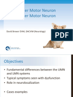 UMN-LMN-ADN2015.pdf