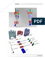 imagenes_pdf_prothestic_hand.pdf