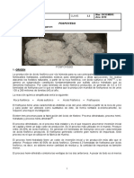 FOSFOYESO1.pdf